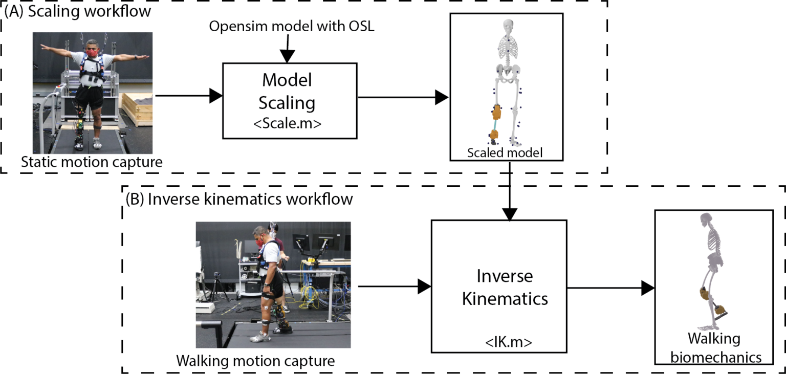 OpenSim Open-source leg models - EPIC Lab at Georgia Tech